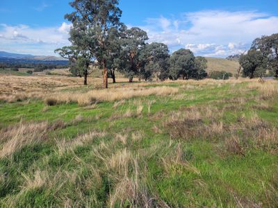 84 Owens Creek Drive, Mansfield