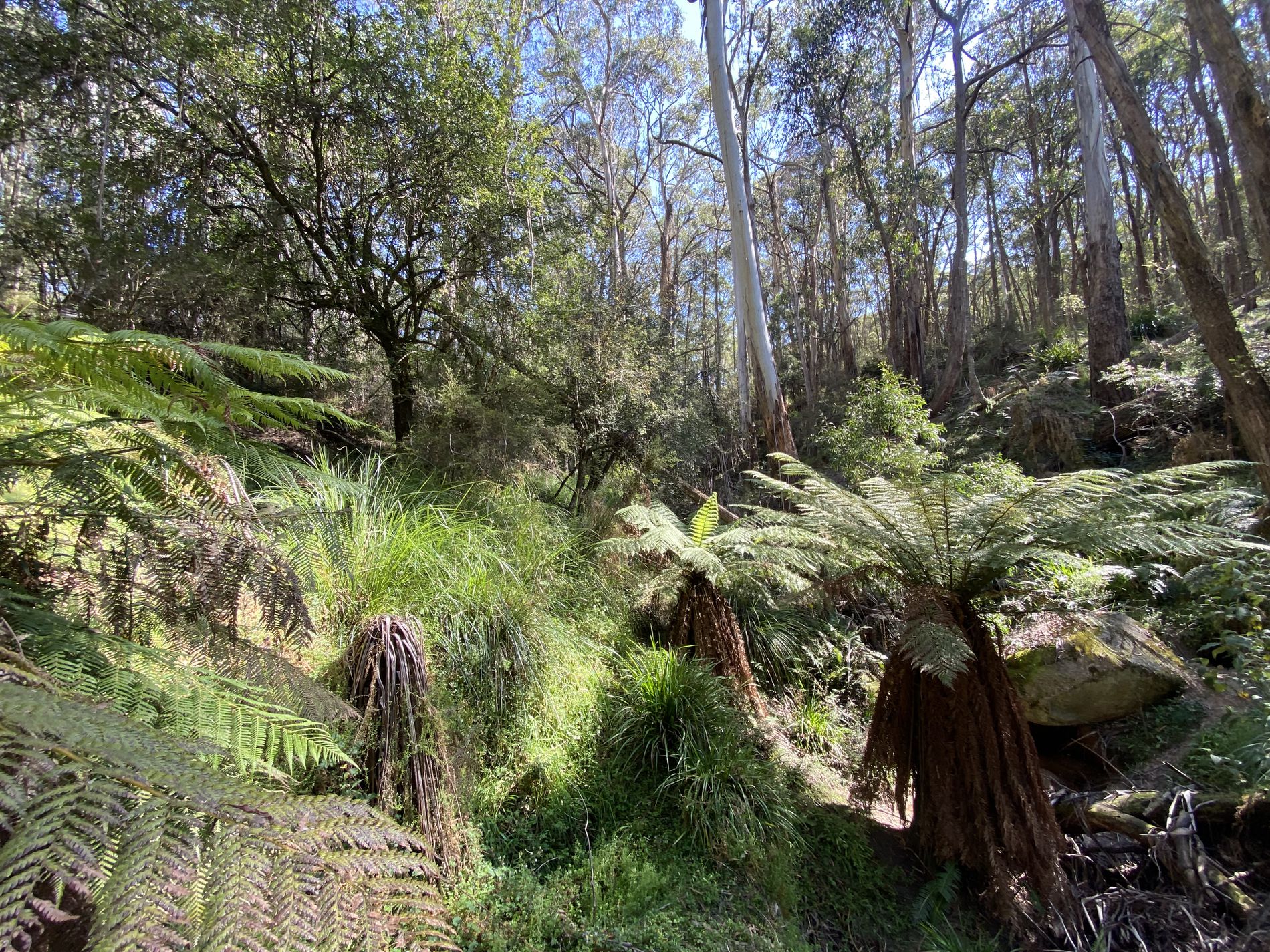 124 Gumms Road, Harolds Cross