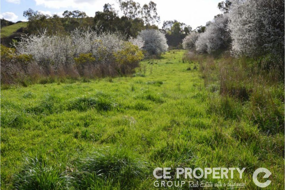 38 Hollands Creek Road, Cudlee Creek