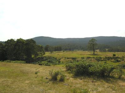 Eld Road, Lonnavale
