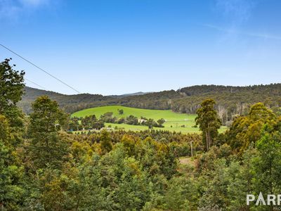 95 Settlement Road, Flowery Gully