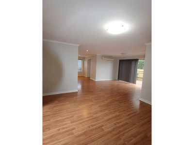 2 / 328 Aberdeen Street, Manifold Heights