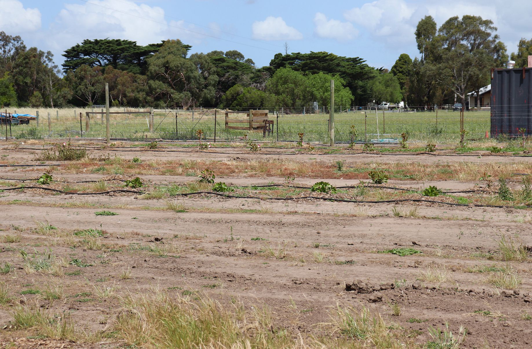 Lot 10, Cambridge Street, Inverleigh