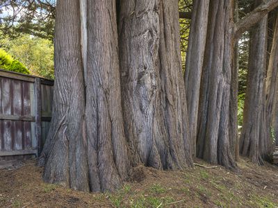 2 Anzac Road, Mount Macedon