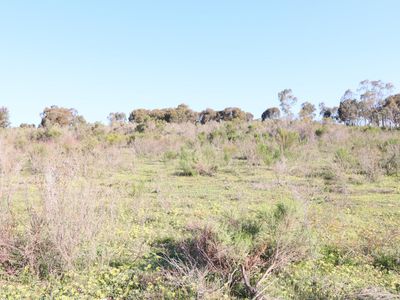 58 Hall Road, Heathcote