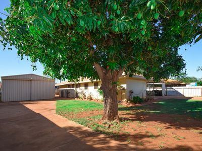 18 Bottlebrush Crescent, South Hedland