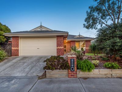 7 Matthew Circuit, Hastings