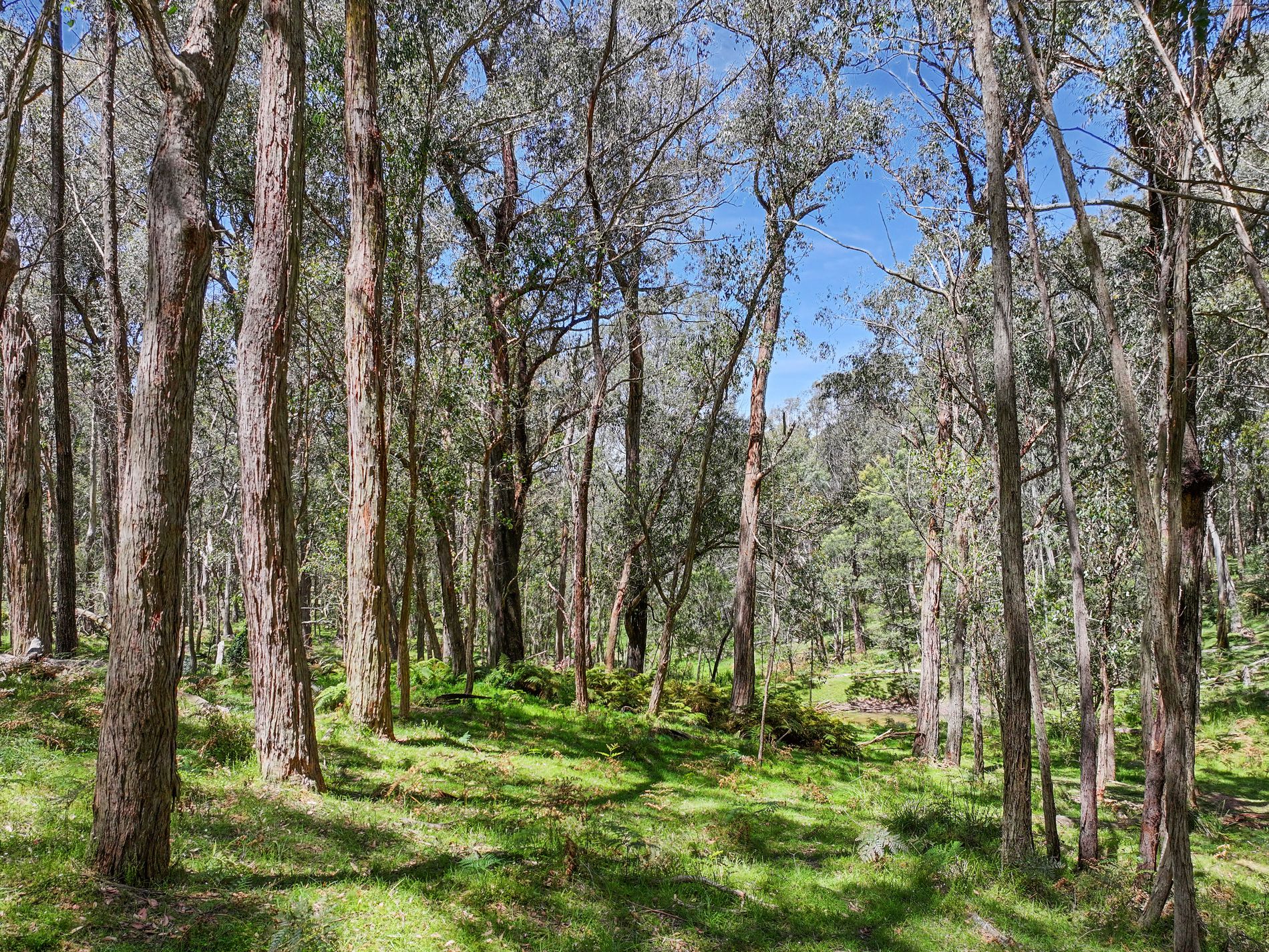 12 Bluebell Road, Braidwood