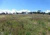 - Bowan Park Road, Orange