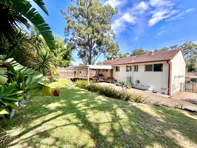 45 Coachwood Drive, Molendinar