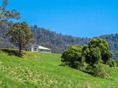 975 Green Pigeon Road, Green Pigeon Via, Kyogle