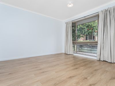 20 Wyara Court, Petrie