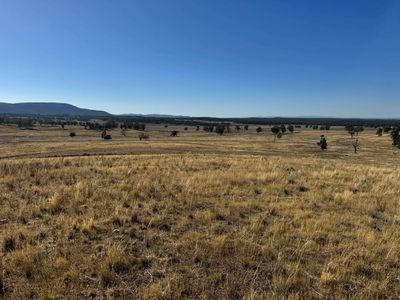 117 Hillside Lane, Parkes