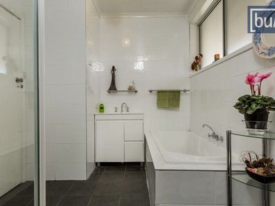 49 Perkins Road, Lucyvale