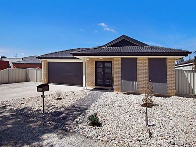 33 Botanical Drive, Epsom
