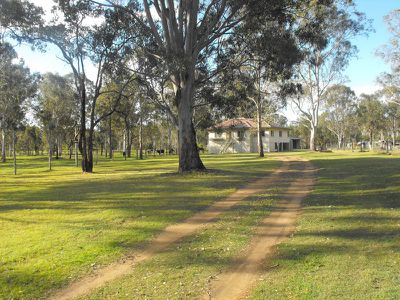 Wattle Camp