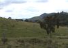 Lot 80 Lewis Ponds, Orange