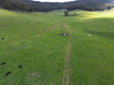 'Eastmore' 1177 Callaghan Creek Road, Mitta Mitta