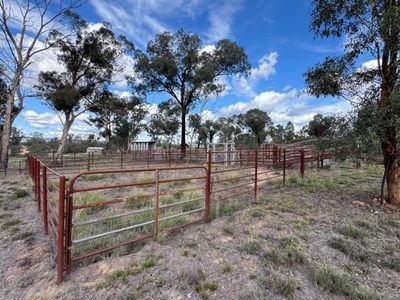 86 Hunts Crossing Road, Parkes