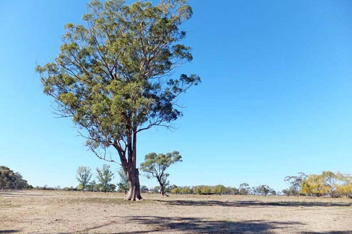 3430 Midland Highway, Stanhope