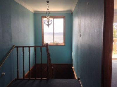 56 Porter Avenue, Mount Warrigal