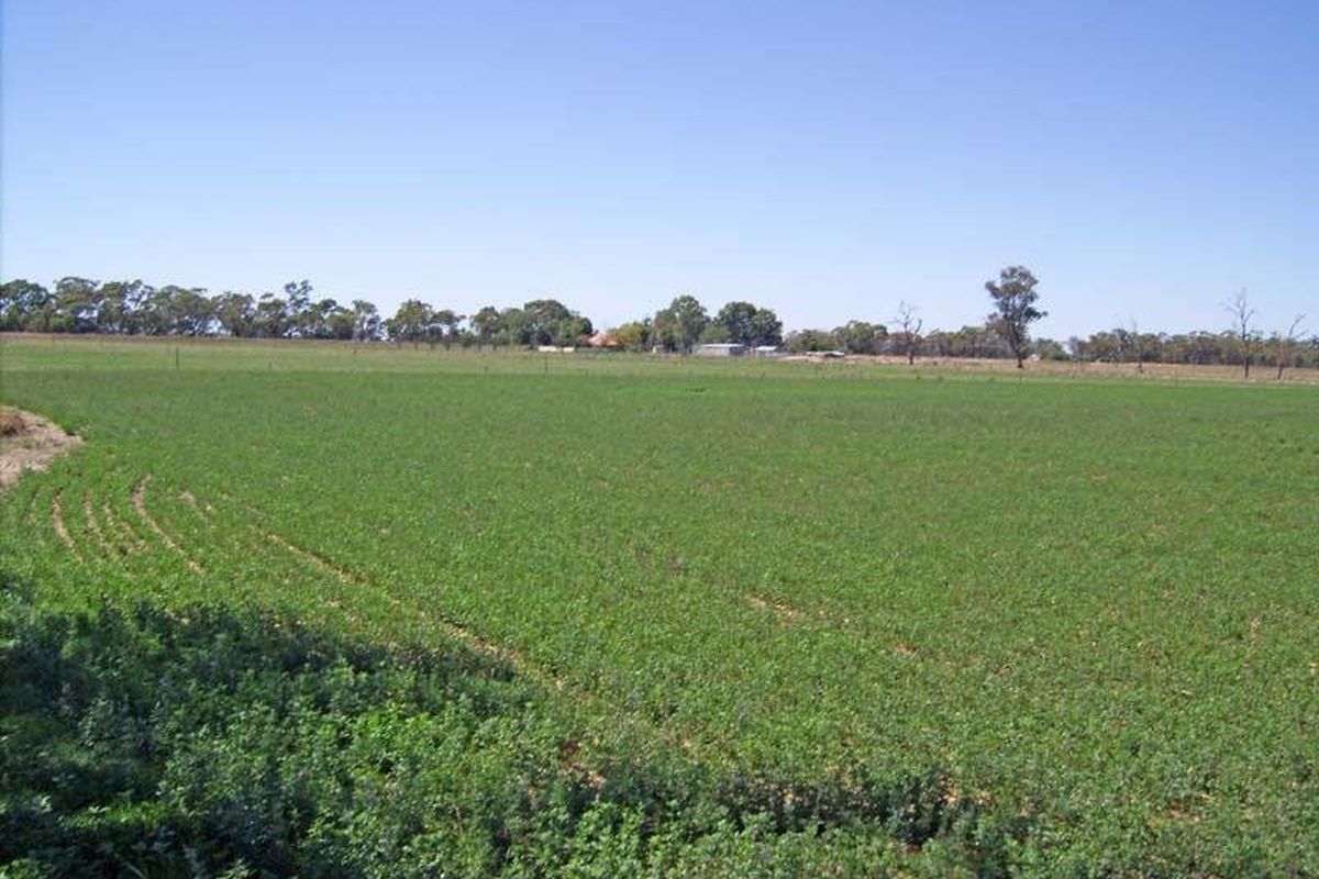 680 Dunbars Road, Merrigum