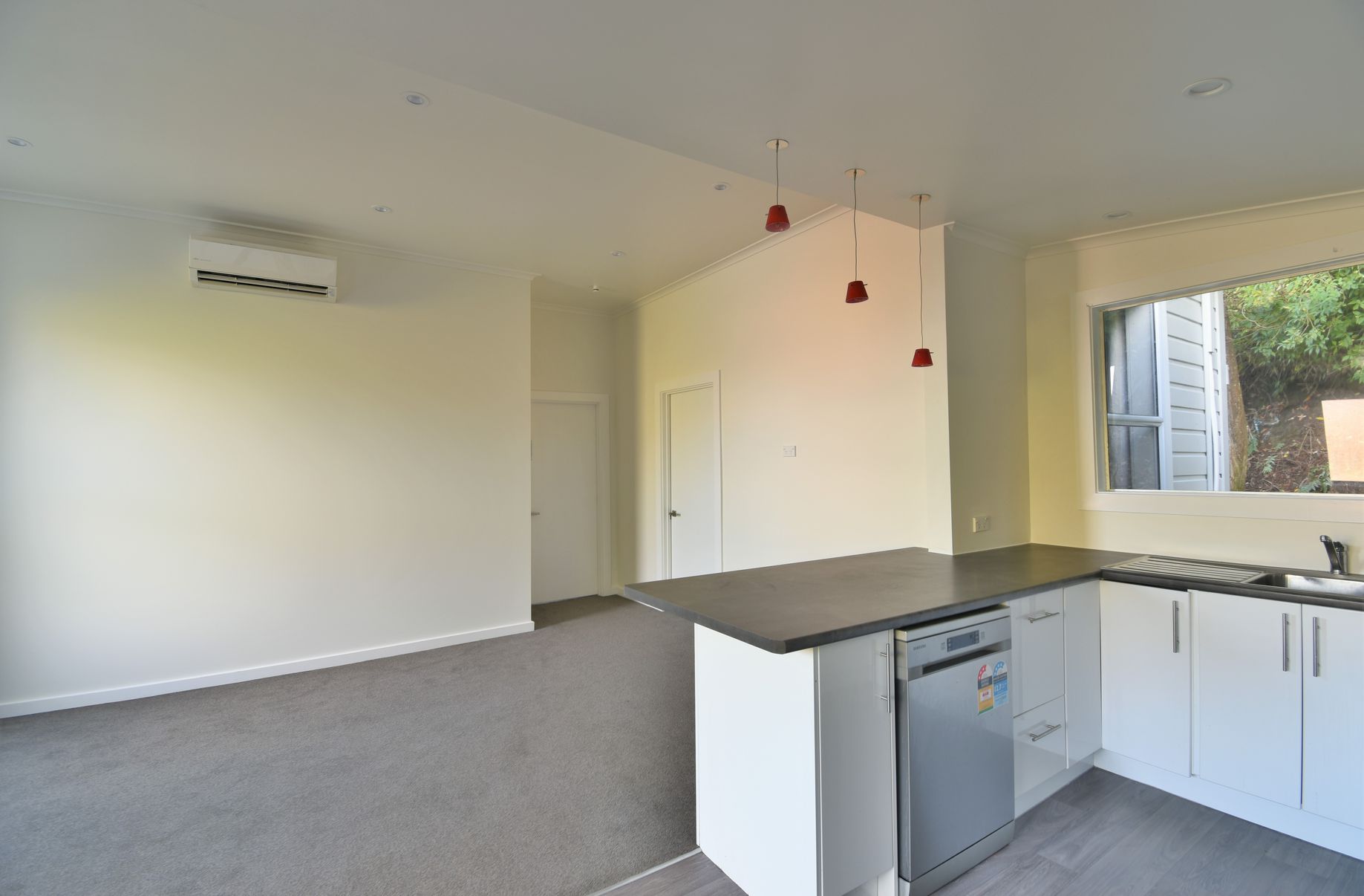 6 Cardigan Street, North East Valley