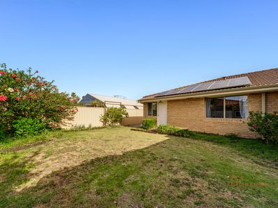 20 Azelia Street, Alexander Heights