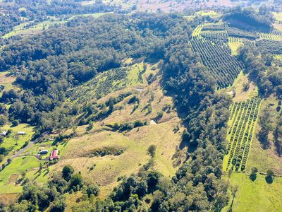1740  Nimbin Road, Koonorigan