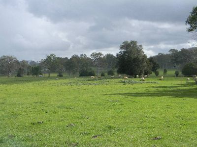 3568 Maleny Kenilworth Road, Kenilworth