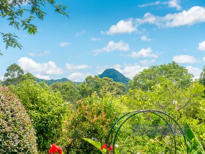 17 Golden Penda Place, Mullumbimby