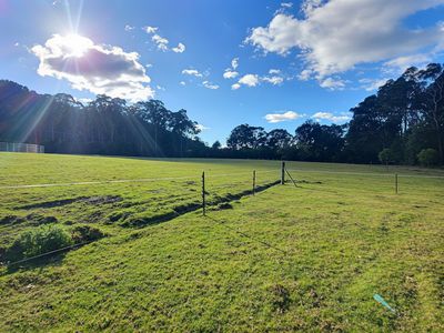 Kangaroo Valley