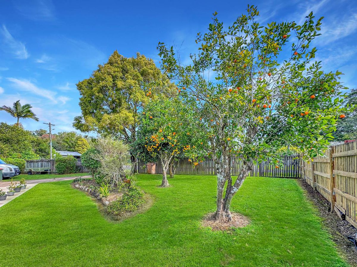 5 Prior Close, Malanda