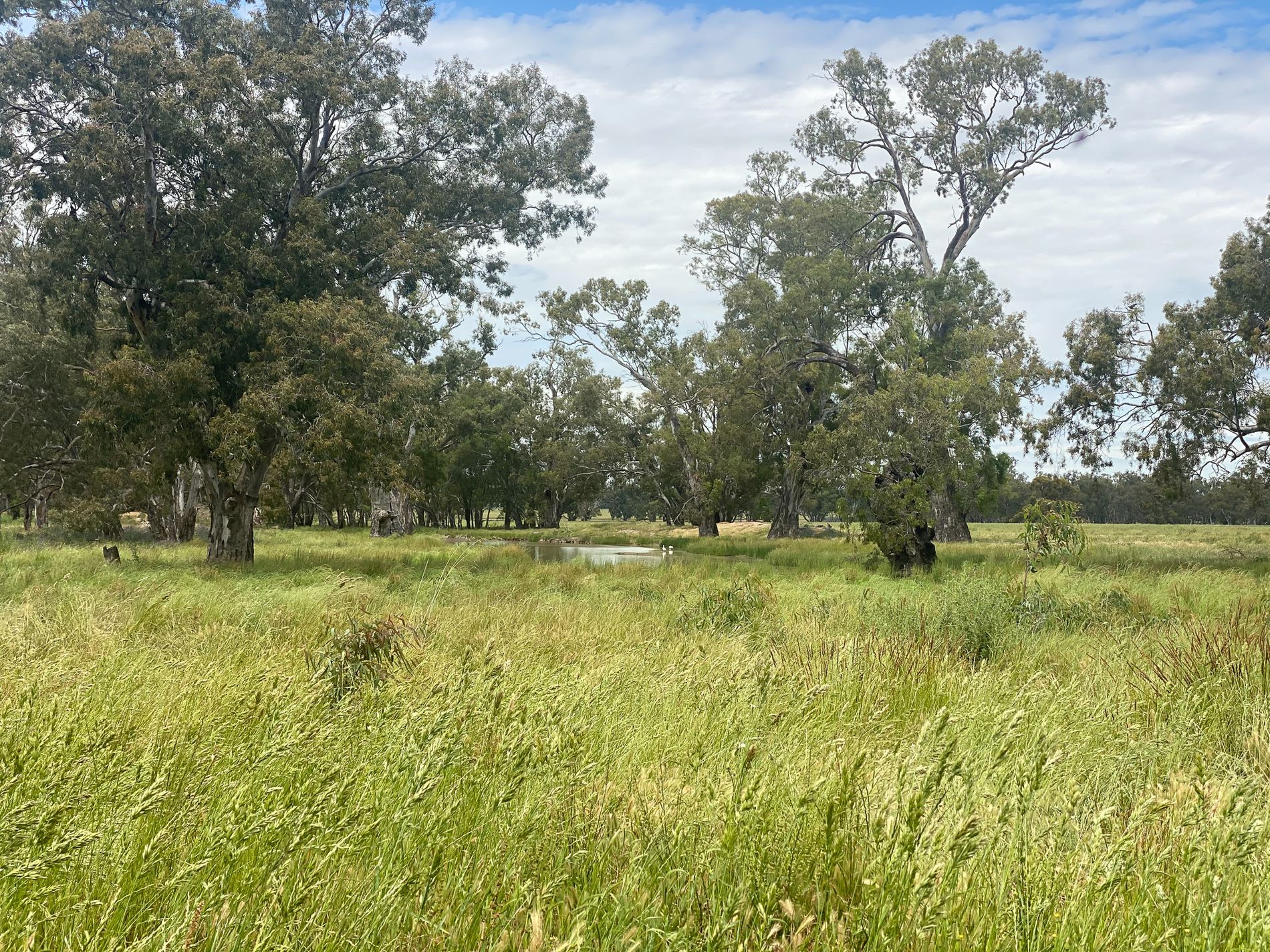 2172 Osborne Yerong Creek Road, Yerong Creek LAWD