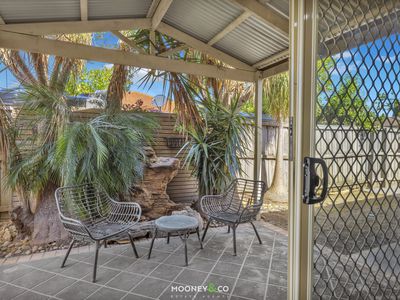 16 Dryandra Place, Cranbourne