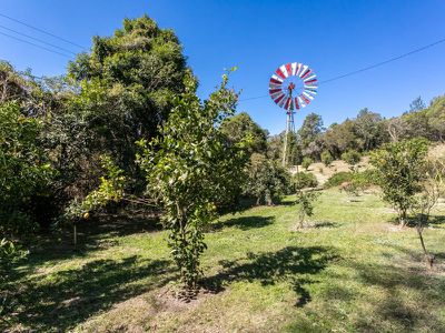 376 Middle Creek Road, Federal