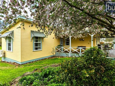 947 Yackandandah-Wodonga Road, Staghorn Flat