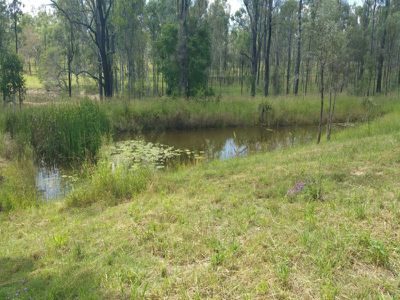 464 Mt Forbes Road, Mount Forbes