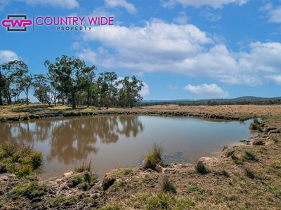 1929 New England Highway, Dundee