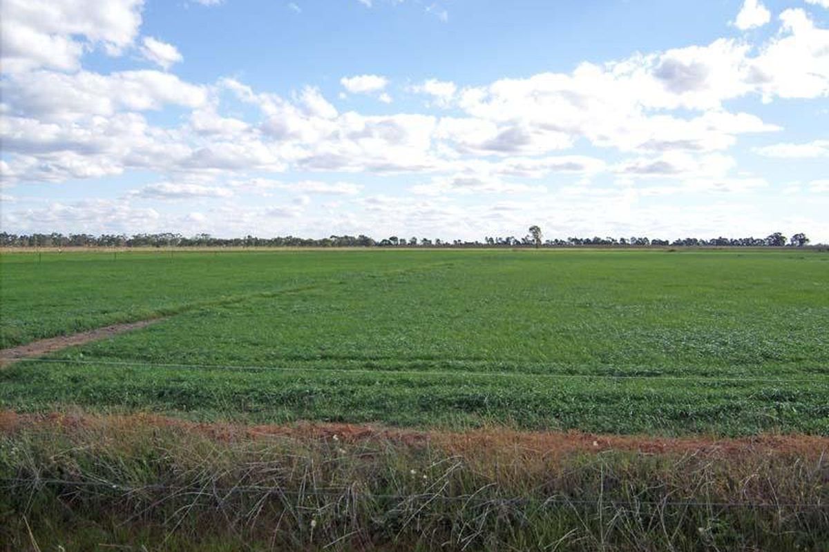 168 Wilson Road, Wyuna