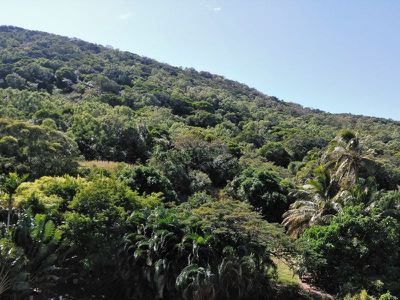 2 / 7 Green Street, Cooktown