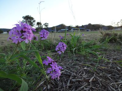 Lot 18 Lot 18 Hodgson St, Maryvale