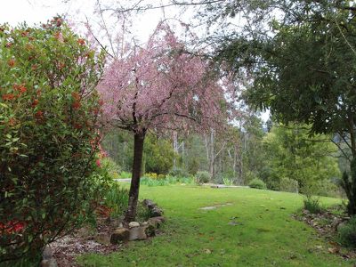 2700 Mansfield Whitfield Road, Tolmie