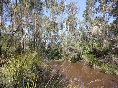 Randalls Bay