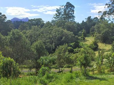 D / 43 Cadell Road, Mount Burrell
