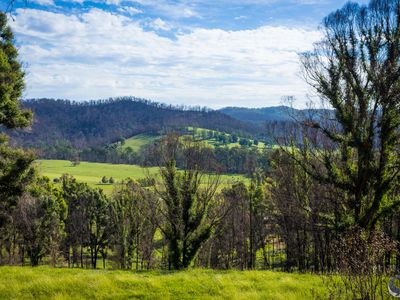 81 Waincourt Road, Eurobodalla