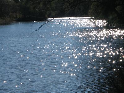 Pindari Dam Road, Ashford