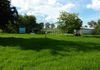 39 Tremain Drive, Yeoval