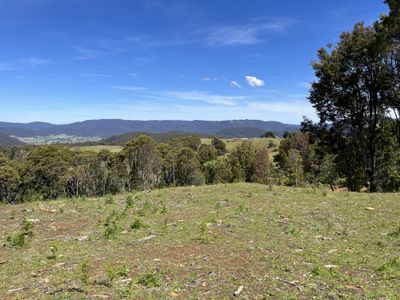 28834 Tasman Highway, Weldborough