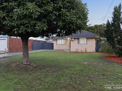 54 Chichester Way, Nollamara